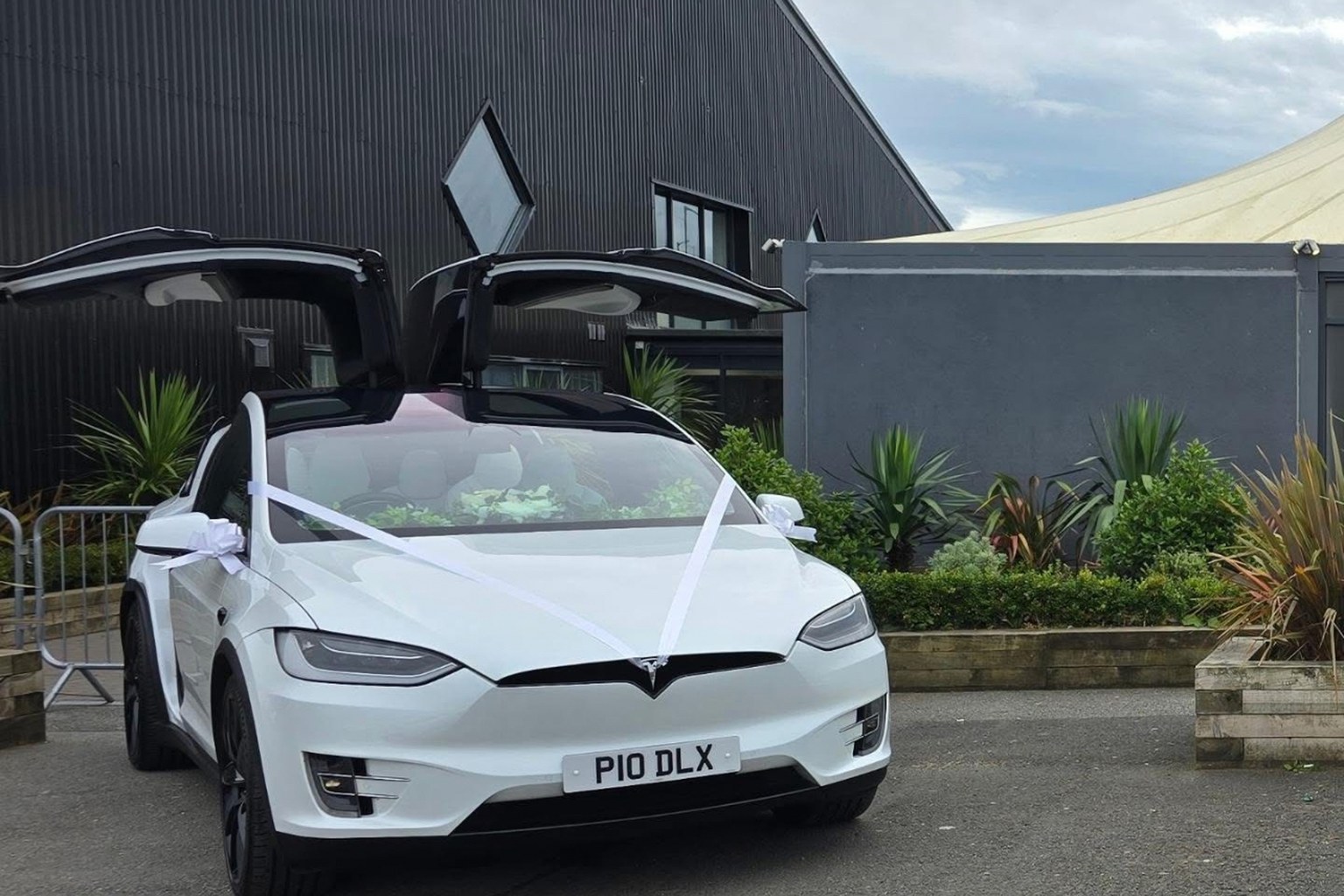 Zero Transport's white Tesla Model X with its Falcon Wing doors raised, dressed with white wedding ribbon, waiting outside a venue.